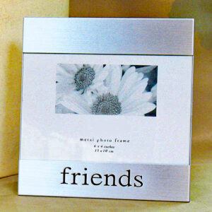 frame friends