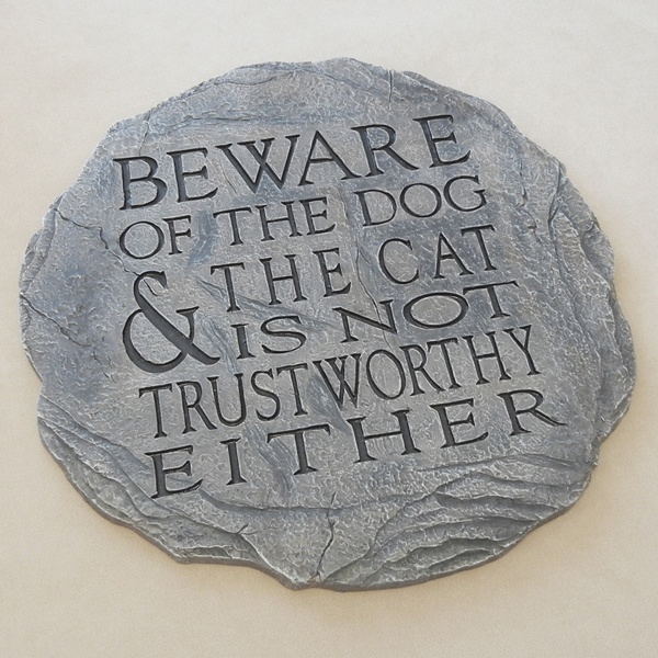 Cat Dog Stepping Stone