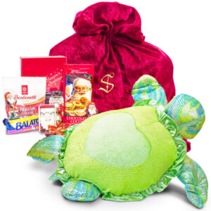 Sea Turtle Chocolate Package
