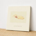 Anne Geddes Thank Your Cards