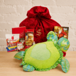 Sea Turtle Chocolate Package