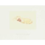 Anne Geddes Thank Your Cards