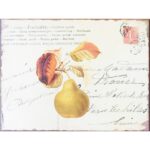 Metal Signs - Vintage multilingual Postcard with Pears