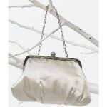 Silver evening purse with crystal accents