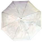 Clear White Dome Umbrella - Bubble Umbrella Canada