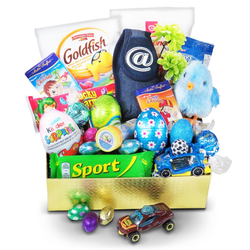 19074-LG.jpg ..Hide and Seek Easter Gift for Boys - Image 1