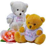 Birthday Party Bear - Image 2