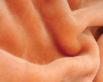 A Warm Blanket with Greetings - Image 3