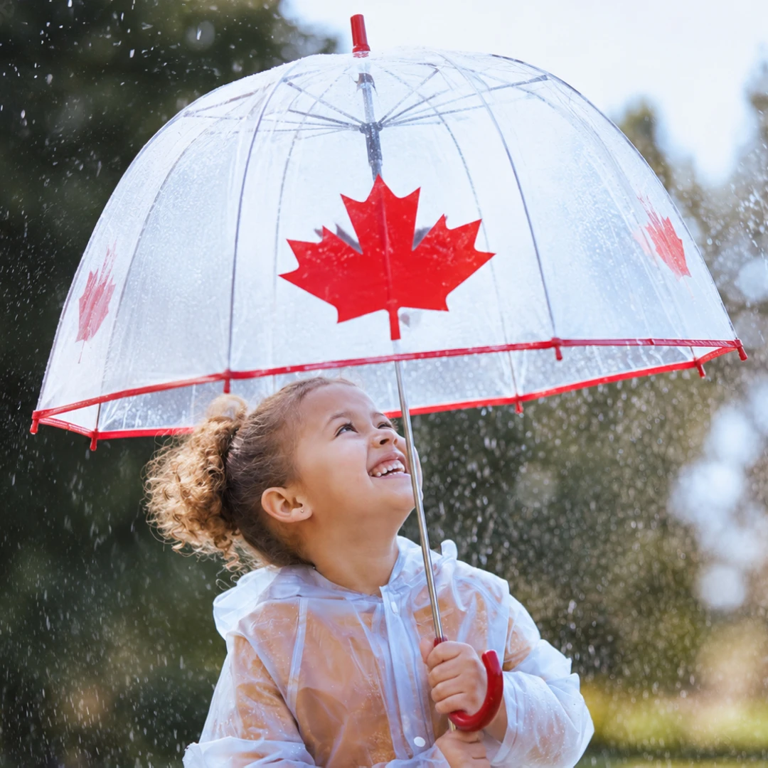 Maple Leaf Bubble Umbrella – Clear Dome Umbrella Maple Leaf Bubble Umbrella - Clear Dome Umbrella - Image 1