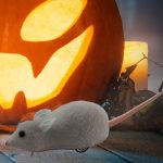 Bat Invasion Halloween Gift basket - Image 4